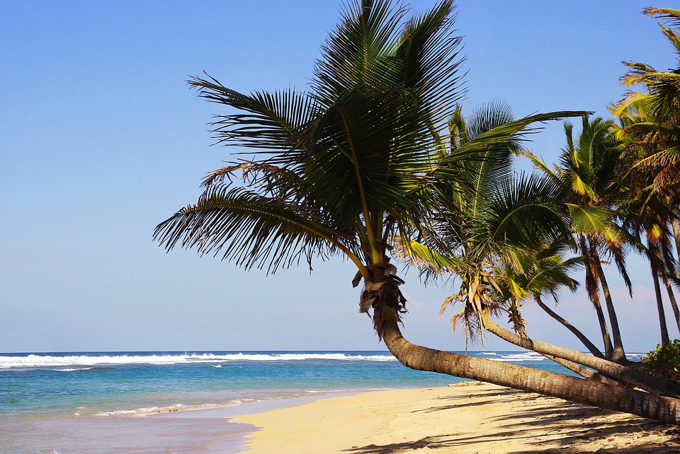 Why Choose Punta Cana as Your Next Holiday Destination?