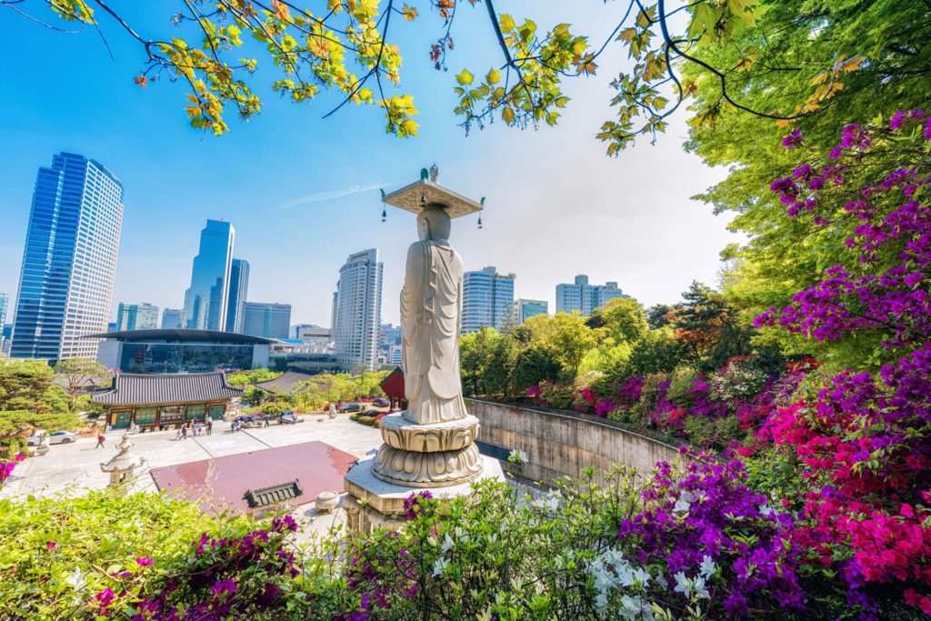 Best Places in South Korea to Visit Once in Your Lifetime (Part 1)