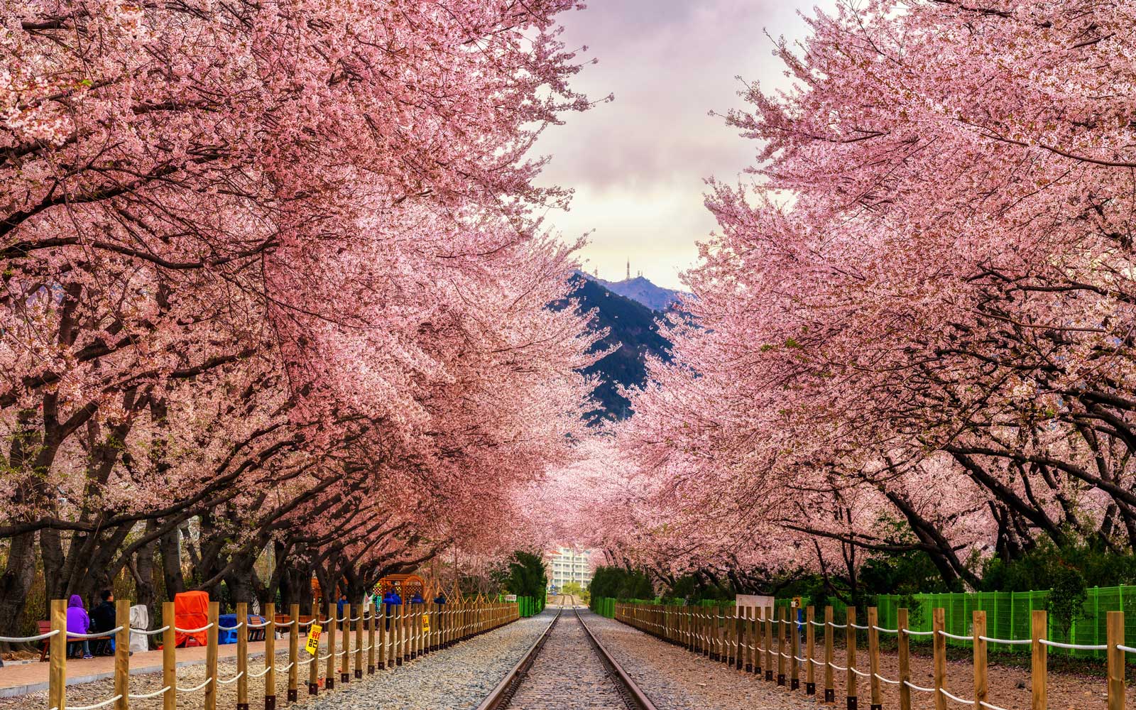 Best Places in South Korea to Visit Once in Your Lifetime (Part 2)
