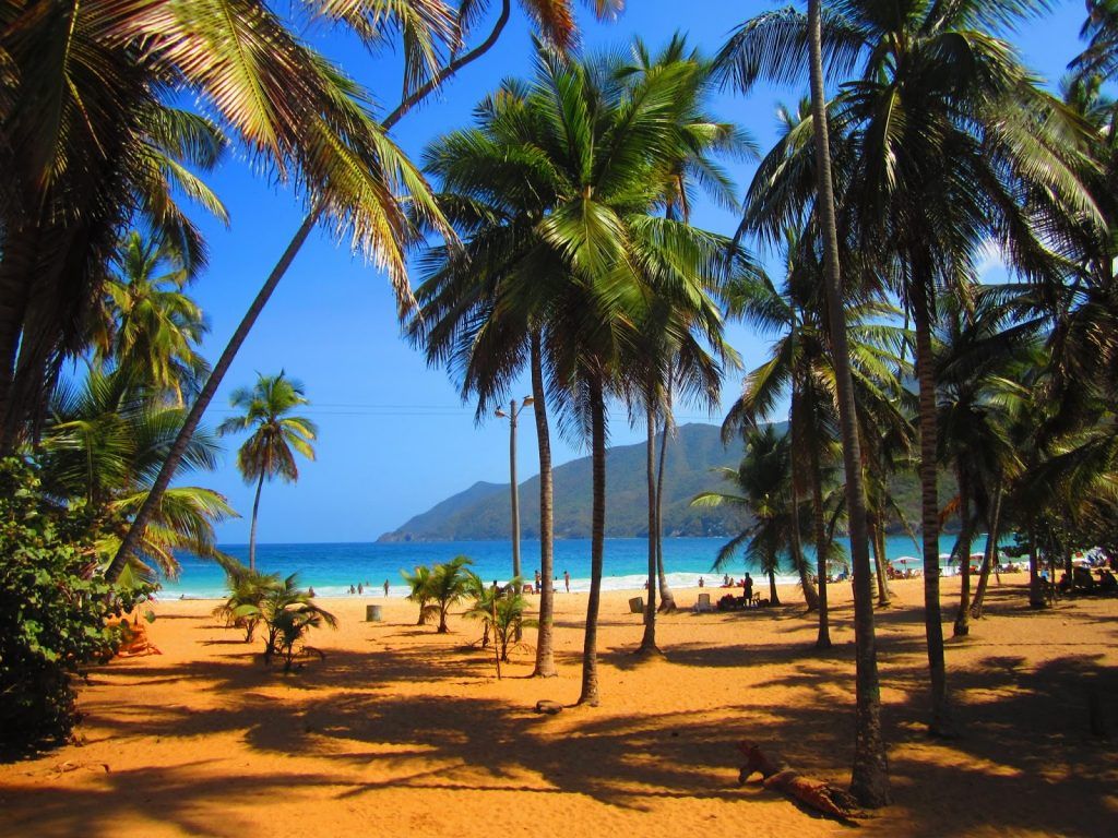 Playa Grande or Choroní Beach