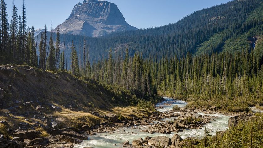 The Pacific Province: Exploring British Columbia