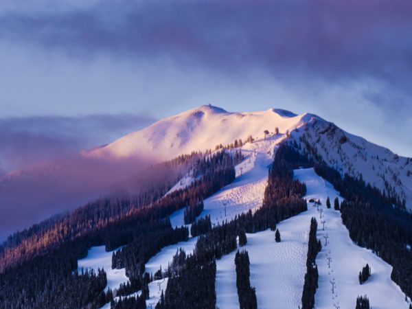 aspen